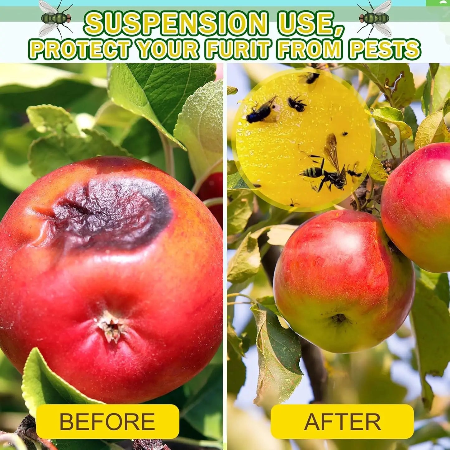 Fruit Fly Balls, Fly Trap Sticky Ball, Insect Ball Traps, Fruit Fly Killer, Waterproof & Heat-Resistant Household Orchard Garden Sticky Ball Fly Catcher for Indoor Outdoor