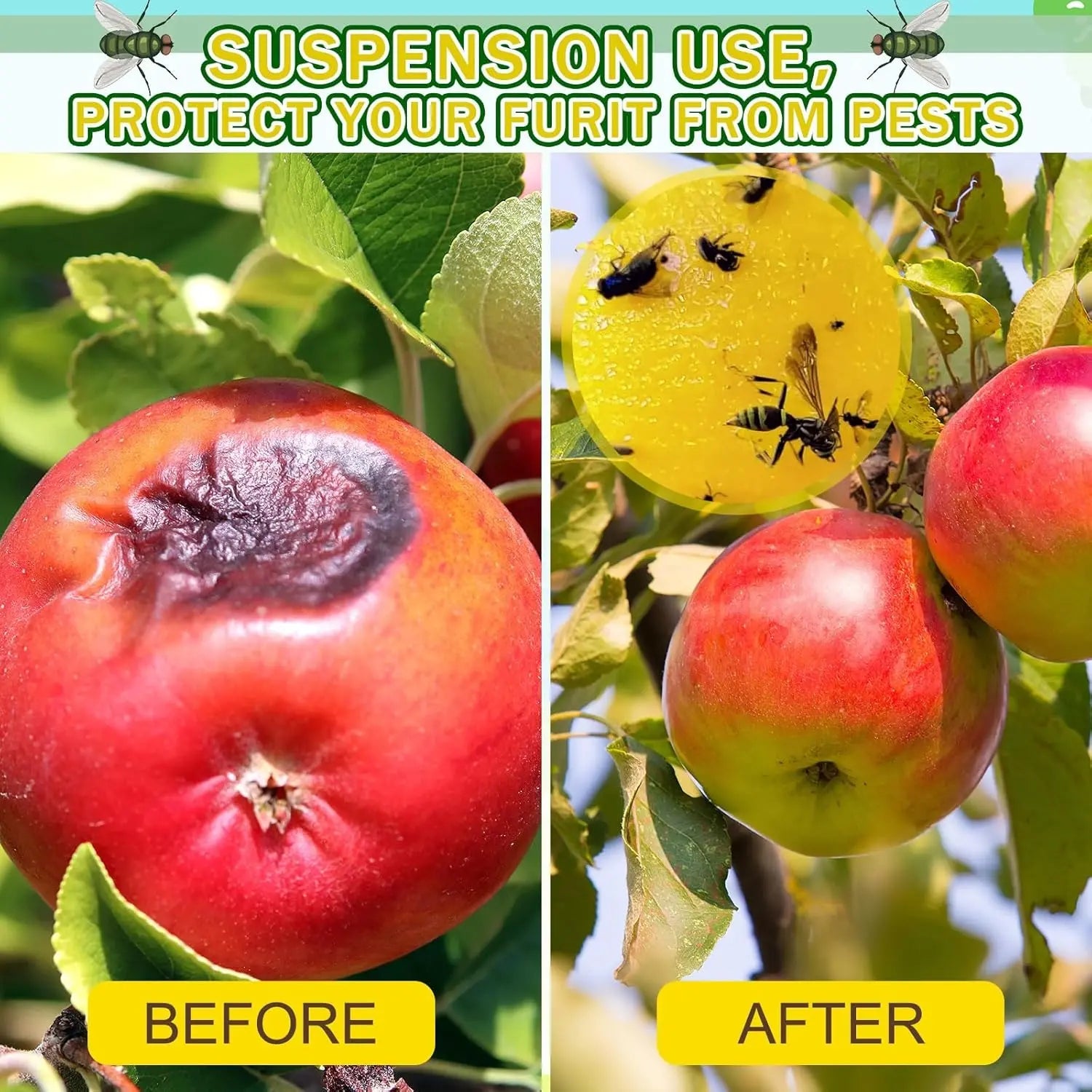 Fruit Fly Balls, Fly Trap Sticky Ball, Insect Ball Traps, Fruit Fly Killer, Waterproof & Heat-Resistant Household Orchard Garden Sticky Ball Fly Catcher for Indoor Outdoor